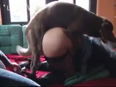Fucking a woman's twat with a dog cock